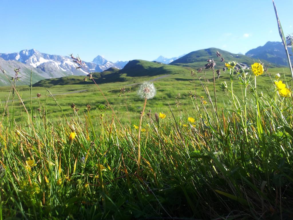 Berggasthaus Tannalp Frutt Zewnętrze zdjęcie